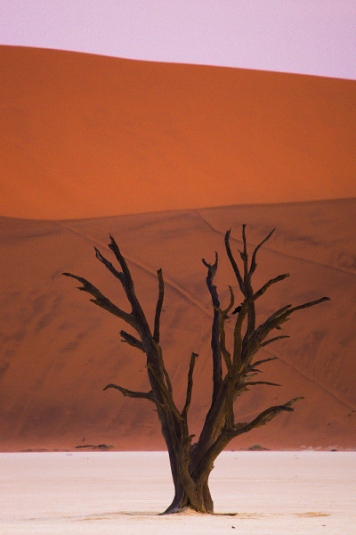 Deadvlei、纳米比亚