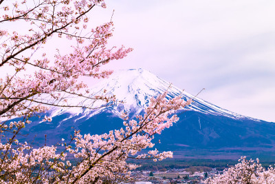富士山
