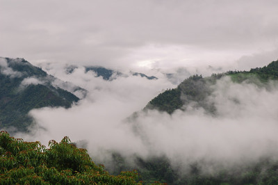雾在山