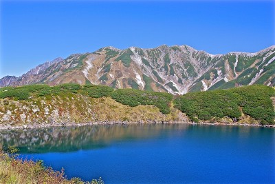 MIKURIGAIKE