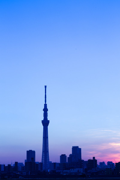 黄昏的城市和东京天空树