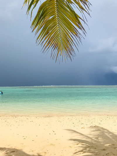 美丽的海