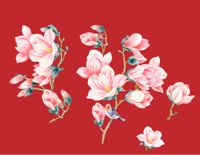 玉兰花插图