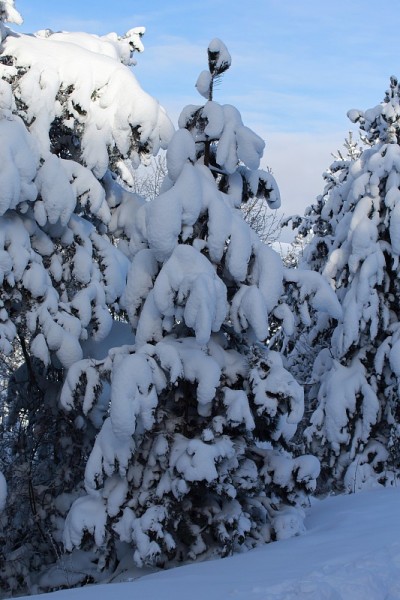 雪