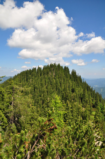 山在奥地利