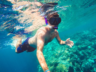 浮潜在浅水中游泳，埃及红海