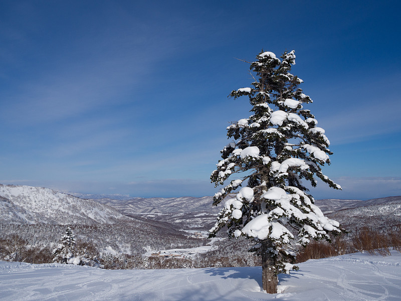 日本北海道的滑雪胜地