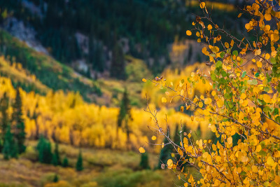 Maroon Bells Snowmass Wilderness USA
