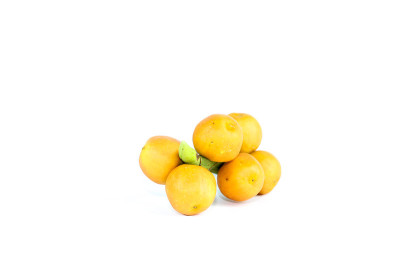 哭泣的无花果特写