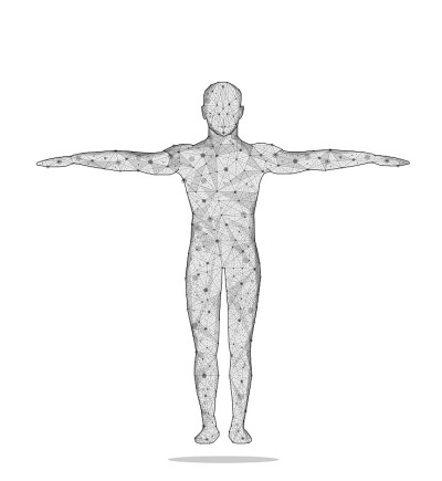抽象形象人体以线和点的形式，由三角形和几何形状组成。3D低多边形矢量背景。解剖学