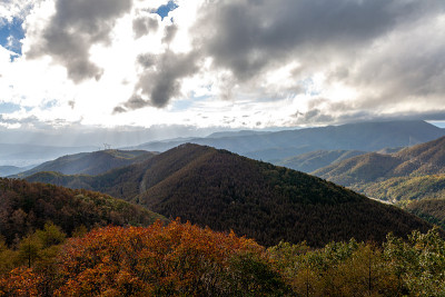 日本的秋景