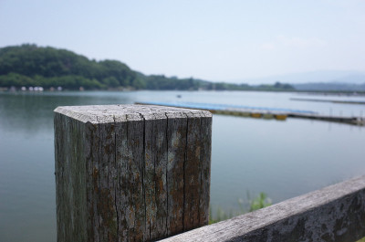 湖