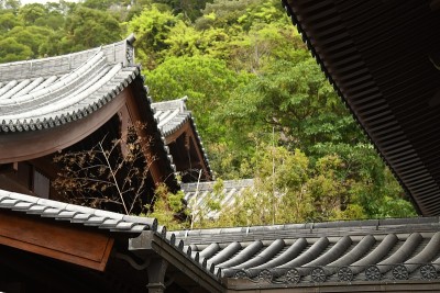 香港志莲尼姑庵内建筑物屋顶的细节