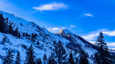 加州的雪塔霍山