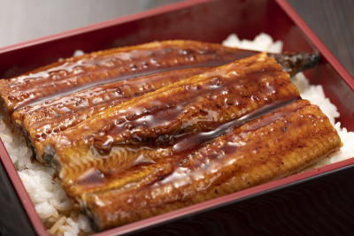 Una-juu。烤鳗鱼饭日本方盒餐具