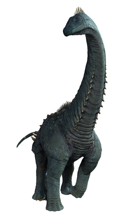 3D渲染恐龙alamosaurus在白色