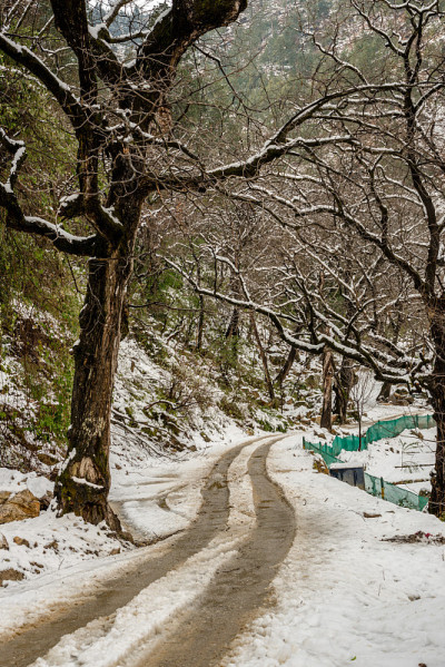 雪山覆盖的道路-雄伟的冬季景观在喜马拉雅山
