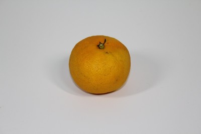 橘子