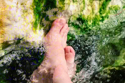 帕穆克甘蓝，德纳里，火鸡