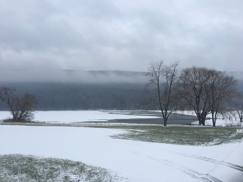 白头鹰州立公园的一个下雪的早晨