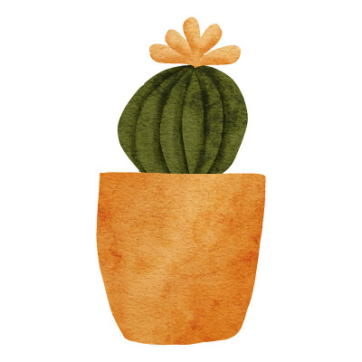 仙人掌花盆室内植物水彩画插图