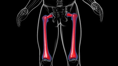 人体骨骼解剖股骨骨3D渲染
