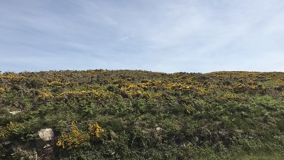 费曼维尔-法国诺曼底附近前往瑟堡途中