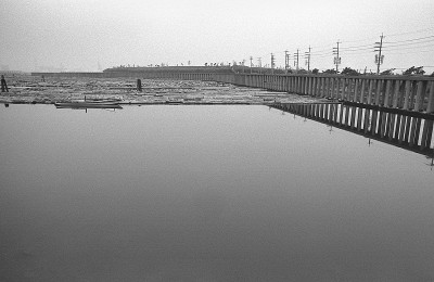 东京台场湾