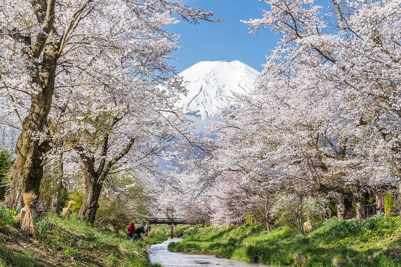 Mt.Fuji