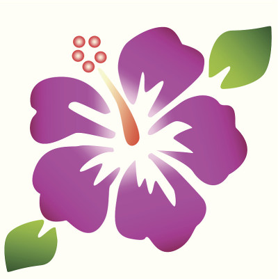 芙蓉花。