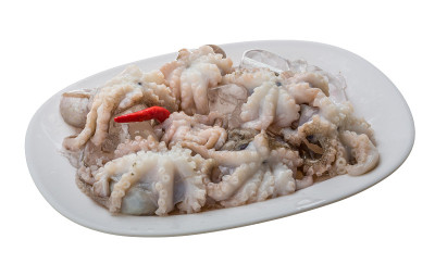 生的章鱼