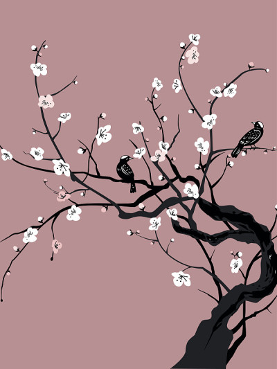 樱花和鸟类