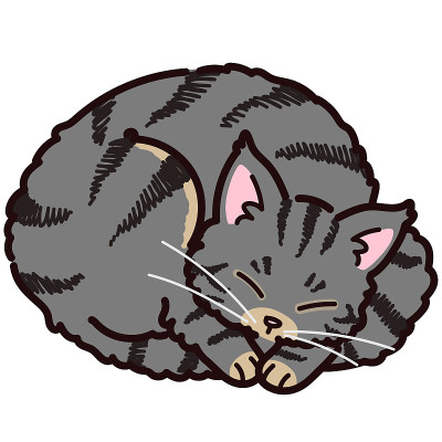 简单可爱的灰色缅因猫睡觉轮廓