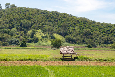 菲律宾农村传统的小屋