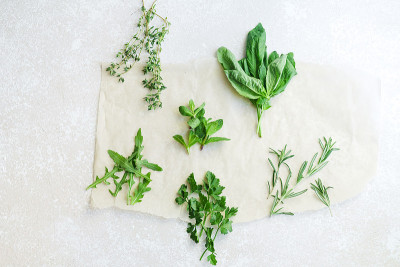 白色背景上的新鲜烹饪香草:迷迭香，百里香，薄荷，芝麻菜，罗勒和欧芹小束
