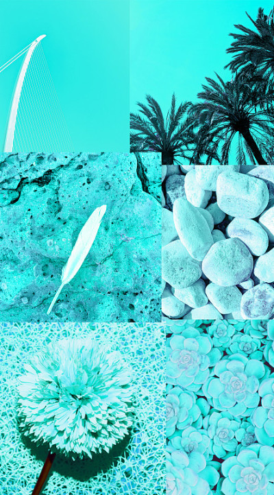 时尚审美moodboard。时尚的颜色薄荷水。最小的风格
