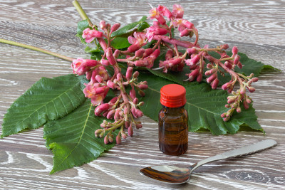 巴赫花滴红栗