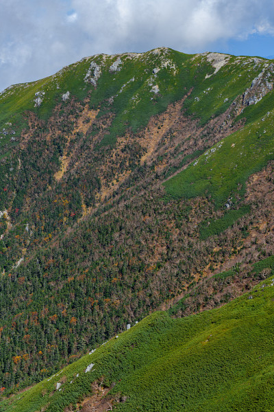 秋末的shogigashira山