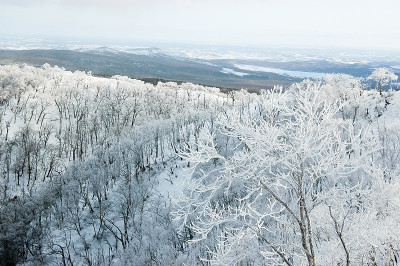 冬季，日本北海道，马淑湖外缘的软霜