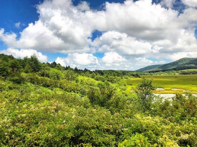 八岛原湿原