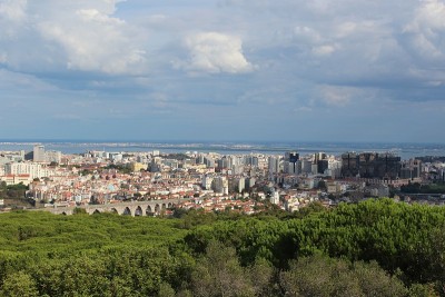 孟山都全景镜