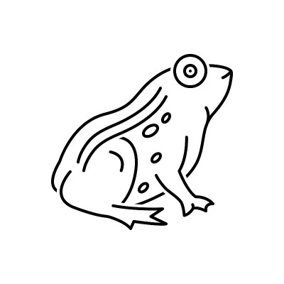 青蛙蟾蜍batrachian