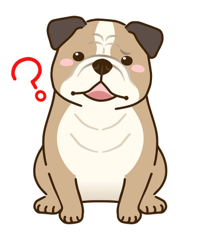 不懂的斗牛犬