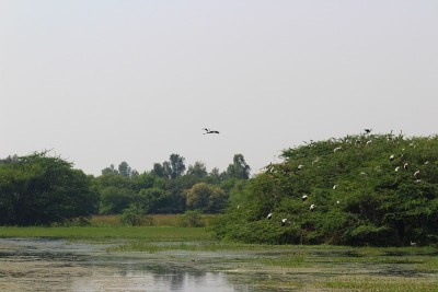 Sultanpur国家公园