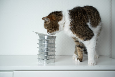 猫粮
