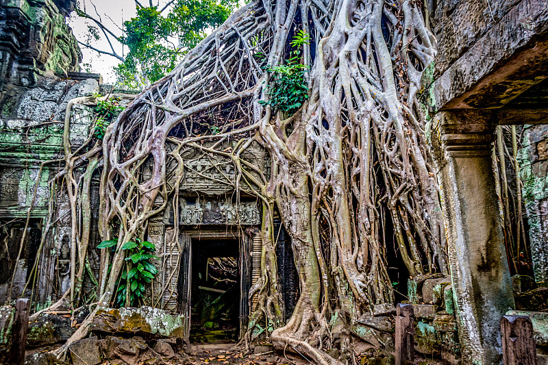 Ta Prohm temple