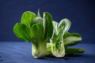 白菜或白菜