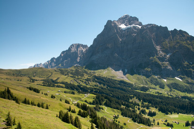 Wetterhorn,瑞士阿尔卑斯山