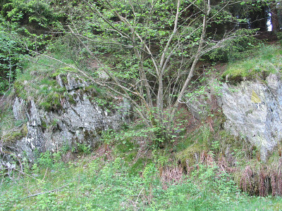 Schieferformation