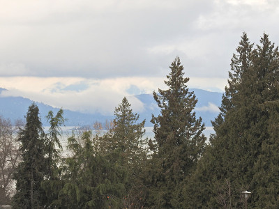 树湾和山
